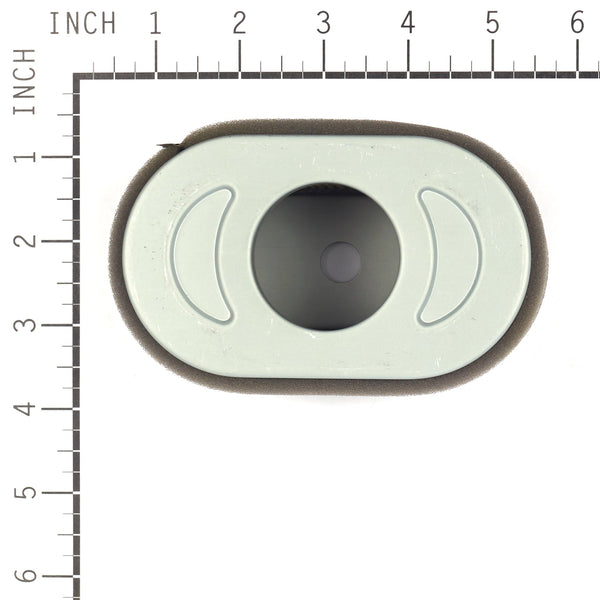 Briggs & Stratton 4239 P/C-FILTER (5 X 797033)