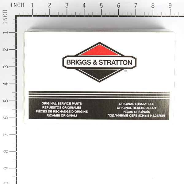 Briggs & Stratton 494406 Fuel Tank