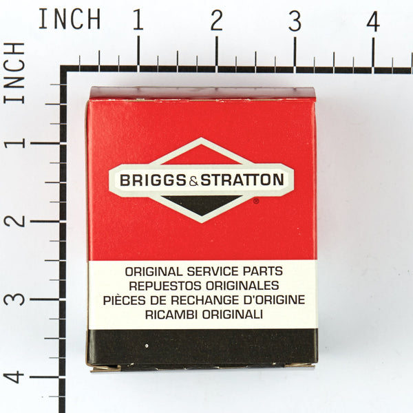 Briggs & Stratton 494622 Carburetor Overhaul Kit