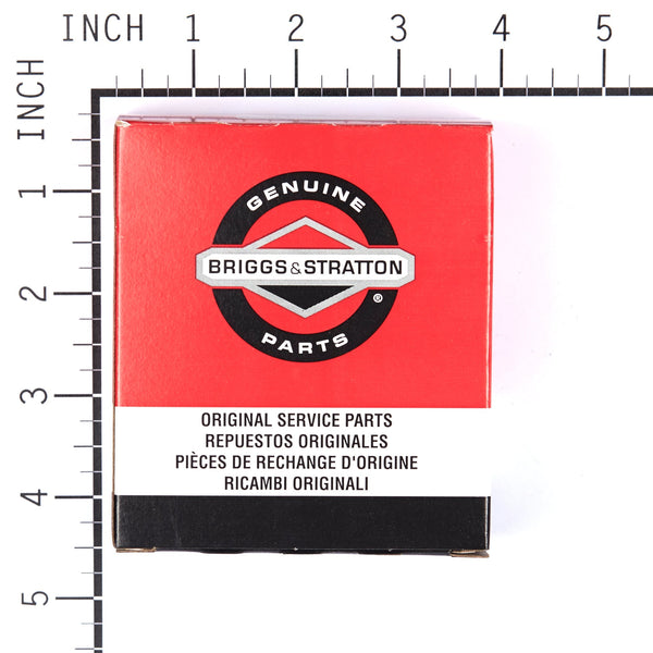 Briggs & Stratton 495606 Carburetor Overhaul Kit