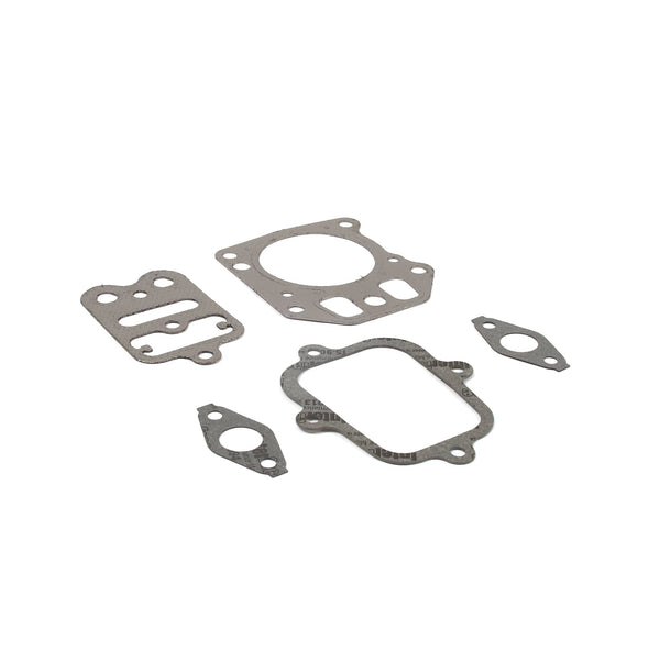 Briggs & Stratton 555581 Valve Gasket Set