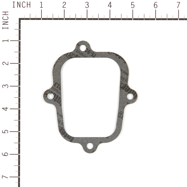 Briggs & Stratton 555581 Valve Gasket Set