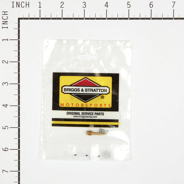 Briggs & Stratton 555585 Idle Mixture Kit