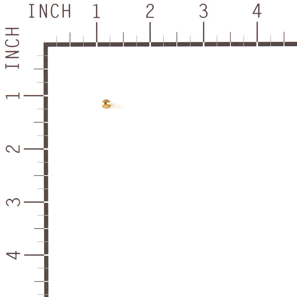 Briggs & Stratton 555594 Pilot Jet