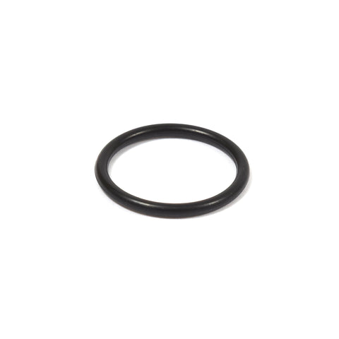Briggs & Stratton 555601 O-Ring Seal