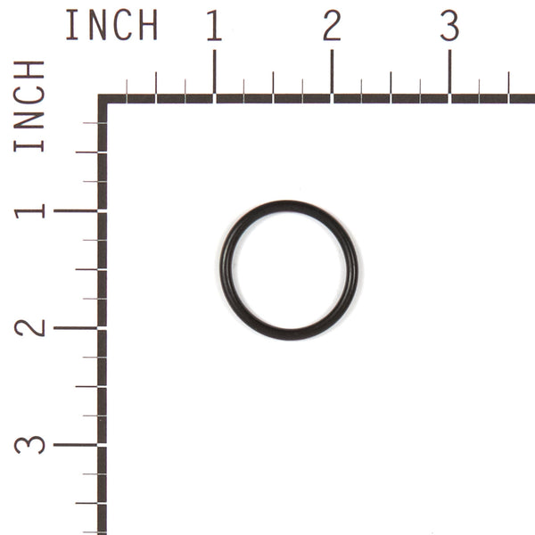 Briggs & Stratton 555605 Carburetor Overhaul Kit