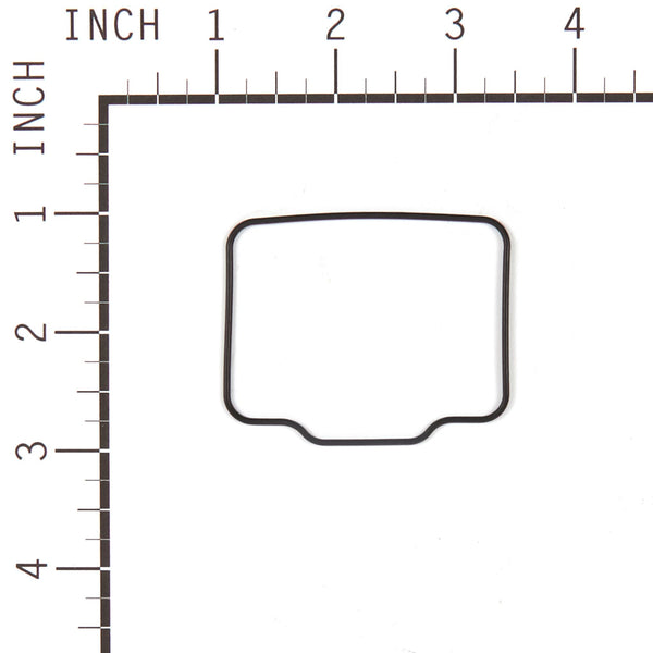 Briggs & Stratton 555605 Carburetor Overhaul Kit