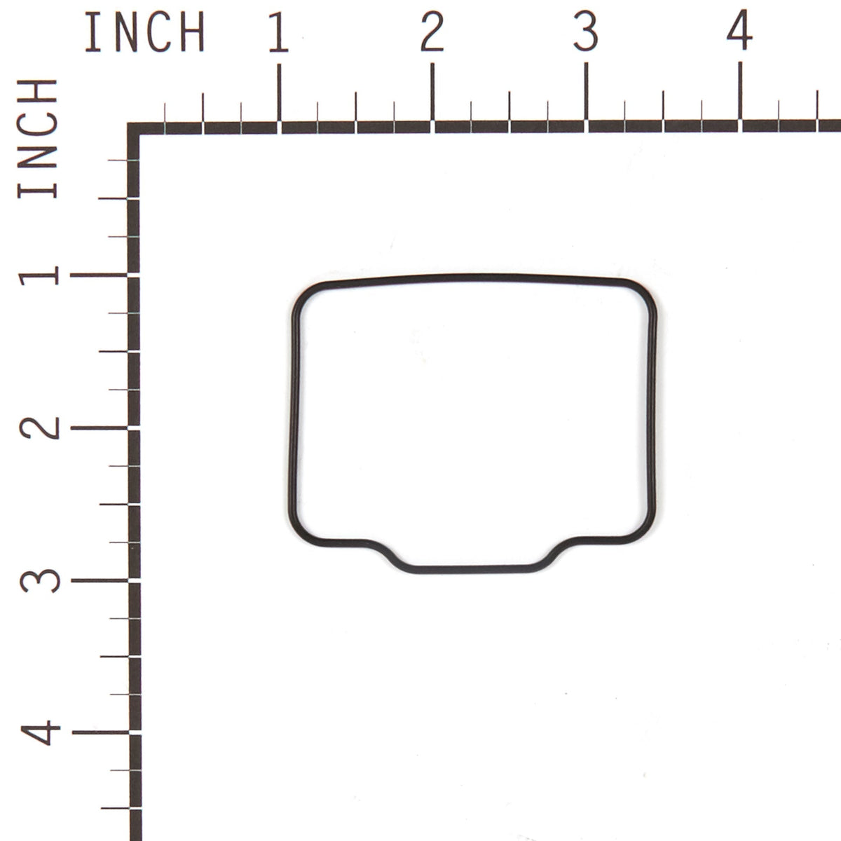 Briggs & Stratton 555605 Carburetor Overhaul Kit