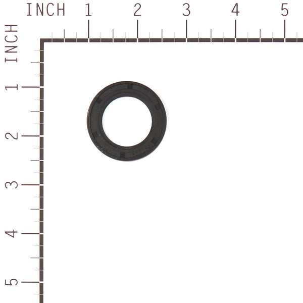 Briggs & Stratton 555631 Engine Gasket Set