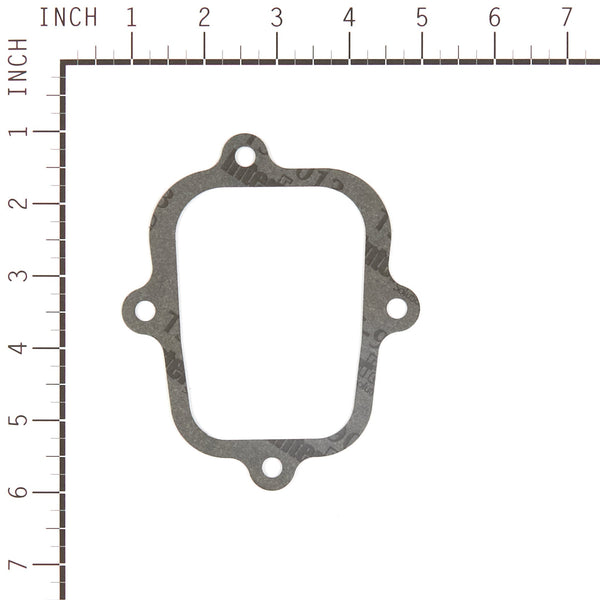 Briggs & Stratton 555636 Valve Gasket Set