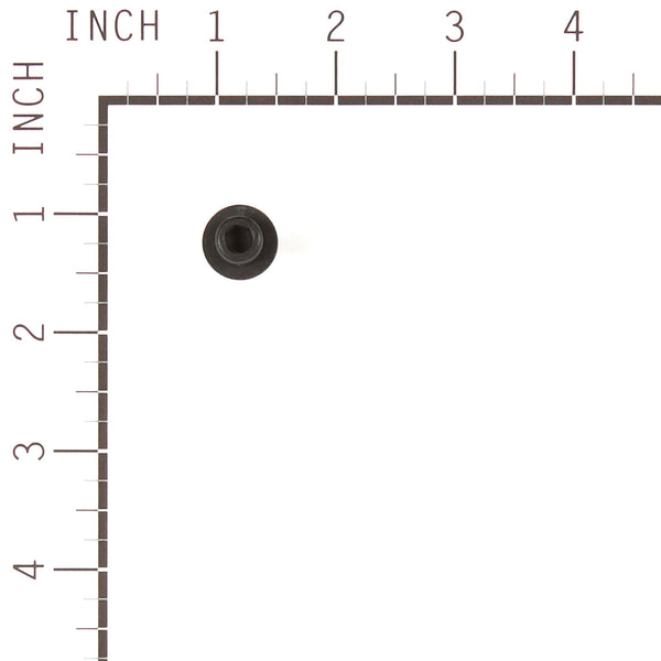 Briggs & Stratton 555644 Screw