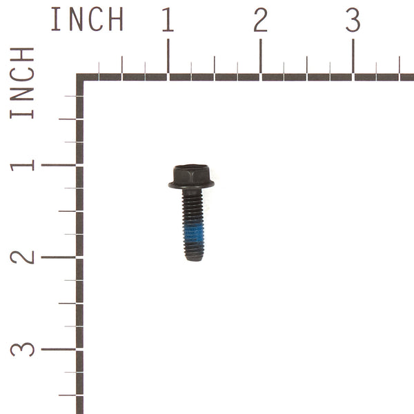 Briggs & Stratton 555646 Hex Washer Head Metric Screw/Nut