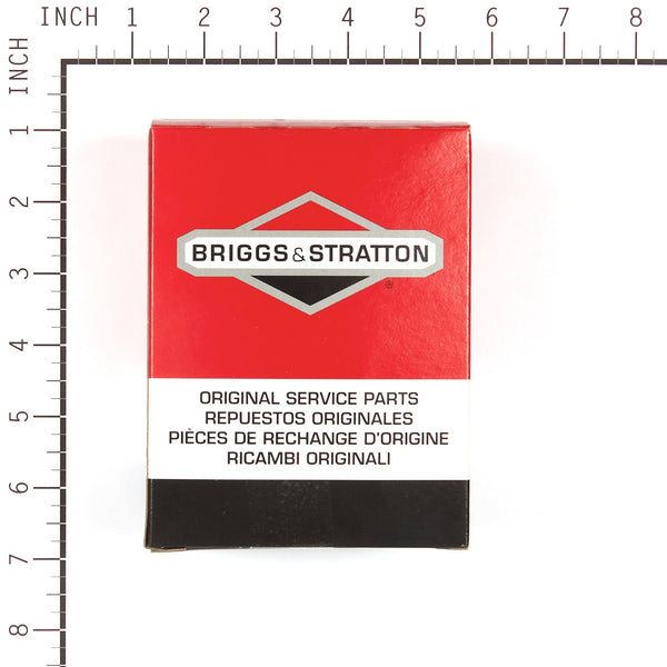 Briggs & Stratton 555658 Carburetor