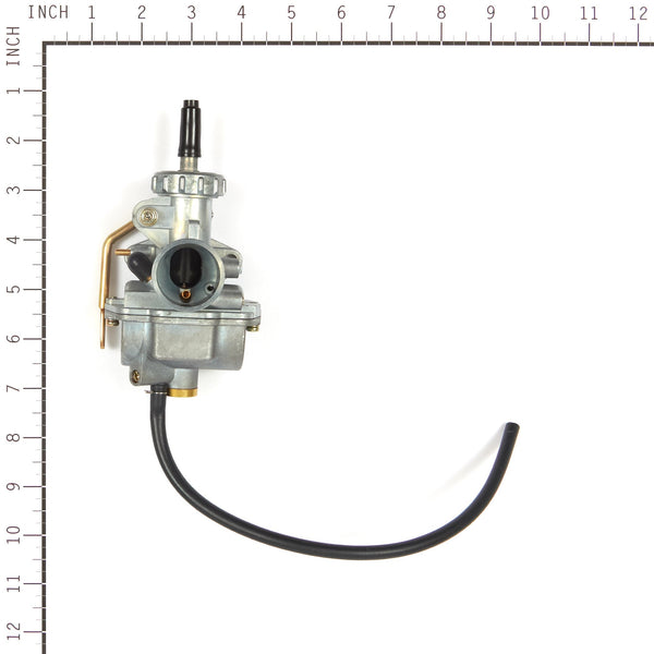 Briggs & Stratton 555658 Carburetor