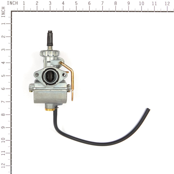 Briggs & Stratton 555658 Carburetor