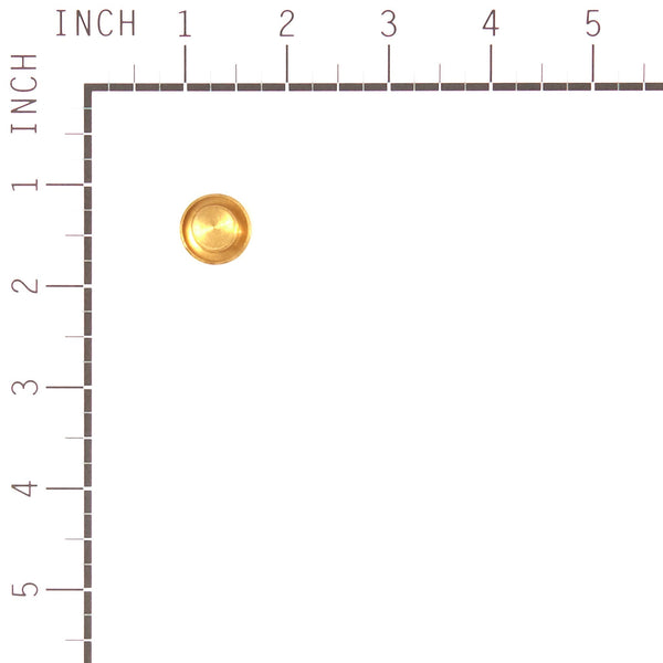 Briggs & Stratton 555659 Carburetor Bowl Drain
