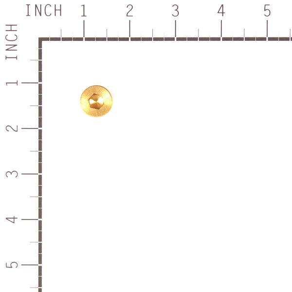 Briggs & Stratton 555659 Carburetor Bowl Drain
