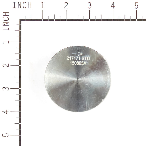 Briggs & Stratton 555660 Piston Assembly
