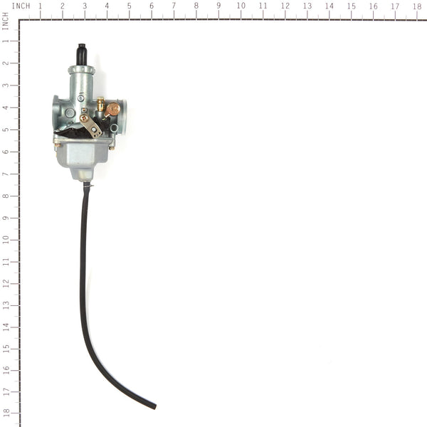 Briggs & Stratton 557006 Carburetor