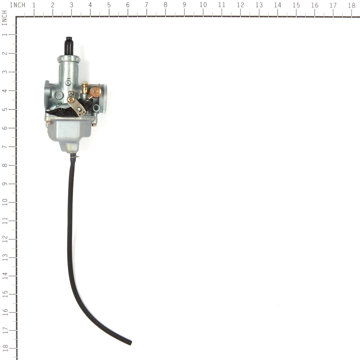 Briggs & Stratton 557006 Carburetor