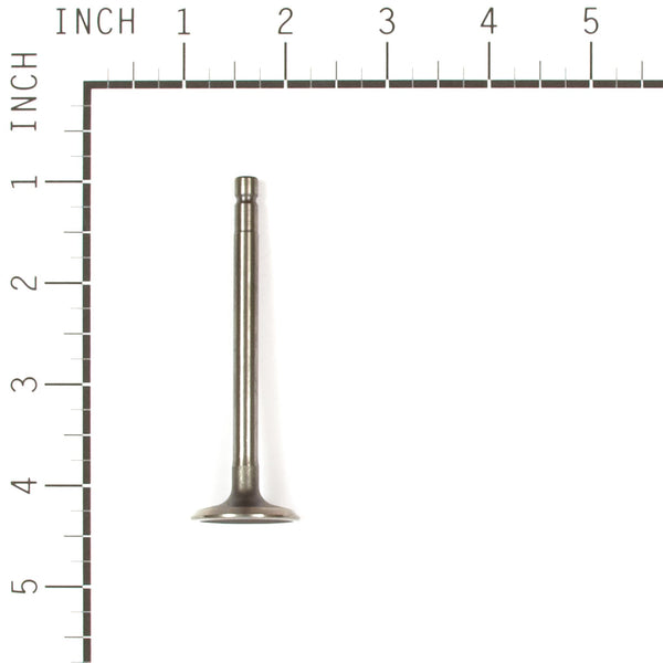 Briggs & Stratton 557017 Intake Valve