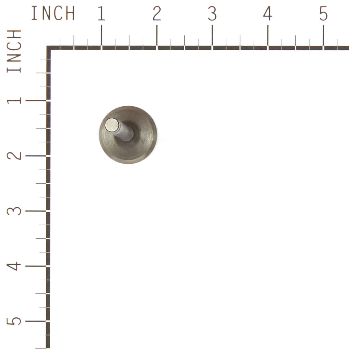 Briggs & Stratton 557017 Intake Valve