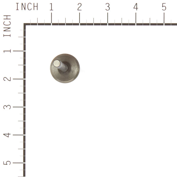 Briggs & Stratton 557017 Intake Valve