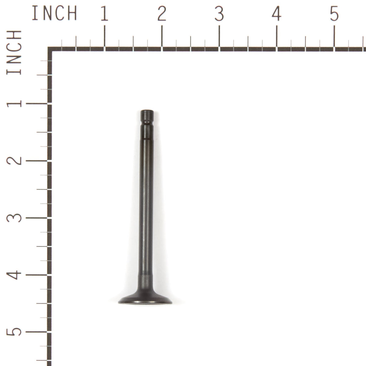 Briggs & Stratton 557018 Exhaust Valve