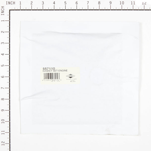 Briggs & Stratton 557110 Engine Gasket Set