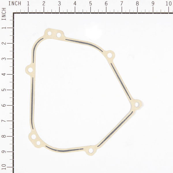 Briggs & Stratton 557110 Engine Gasket Set