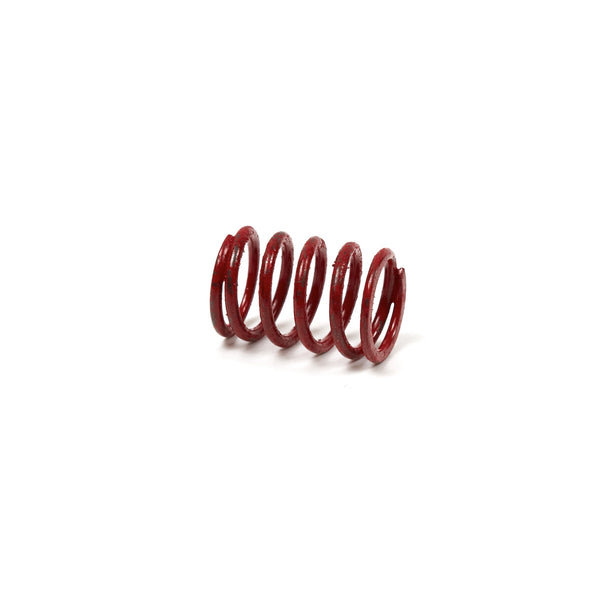 Briggs & Stratton 691597 Valve Spring