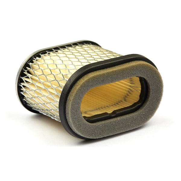 Briggs & Stratton 4224 Air Filter  (4 x 692446)