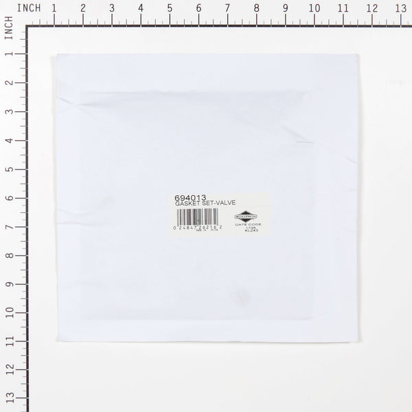 Briggs & Stratton 694013 Valve Gasket Set