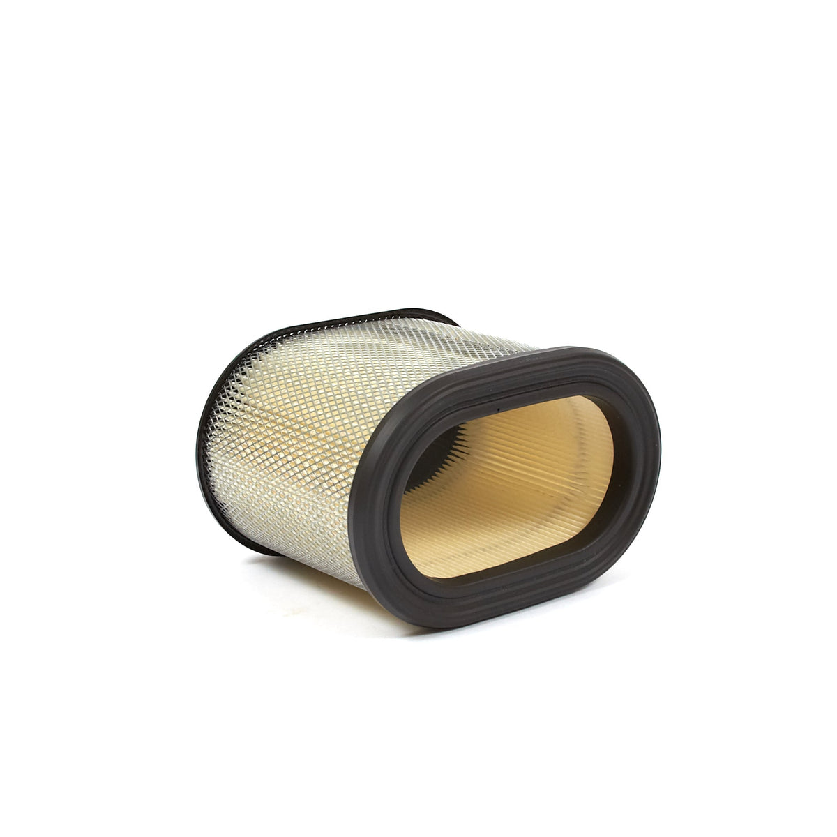 Briggs & Stratton 695302 Air Cleaner Cartridge Filter