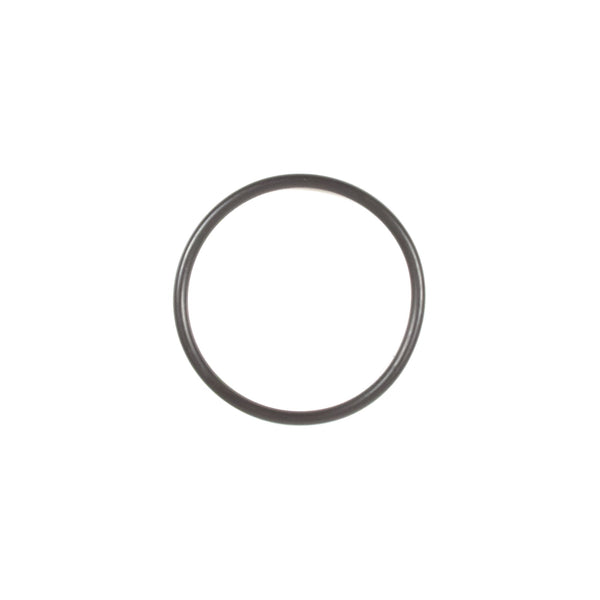 Briggs & Stratton 697123 O-Ring Seal