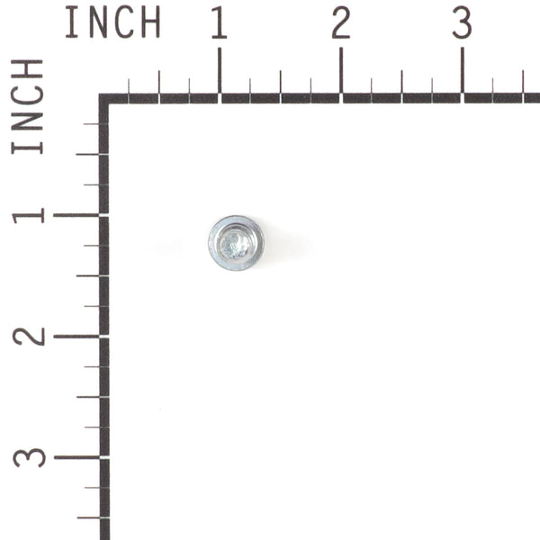 Briggs & Stratton 698941 Screw