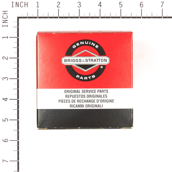 Briggs & Stratton 698973 Air Cleaner