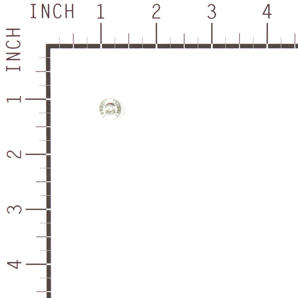 Briggs & Stratton 699228 Screw
