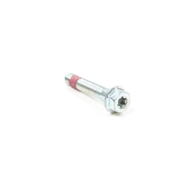 Briggs & Stratton 699484 Screw