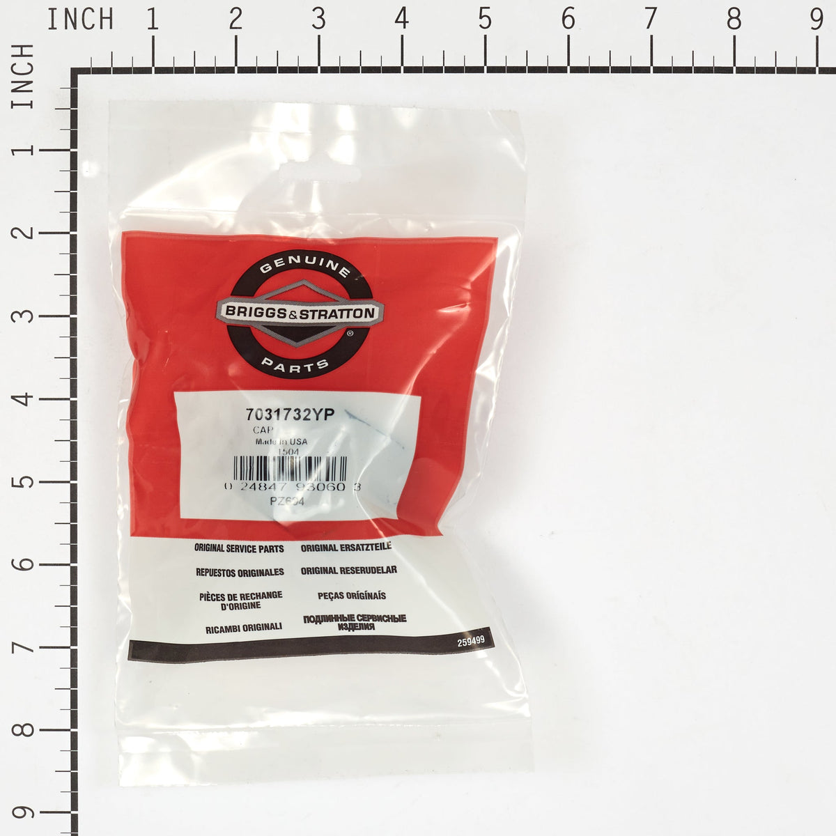 Briggs & Stratton 7031732YP Cap
