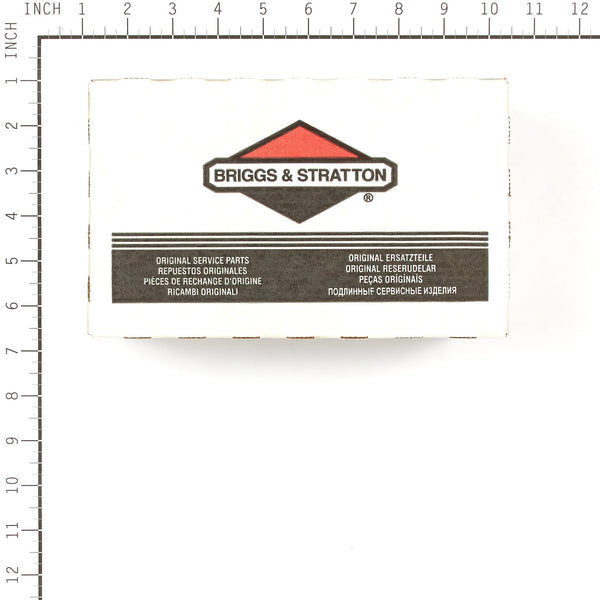 Briggs & Stratton 709509 Motor