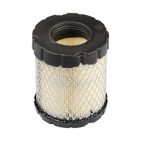 Briggs & Stratton 4250 Air Filter (5 x 798897)