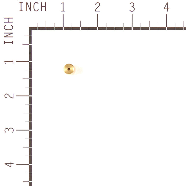 Briggs & Stratton 799177 Needle & Seat Kit