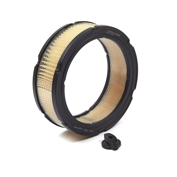 Briggs & Stratton 841359 Air Cleaner Cartridge Filter