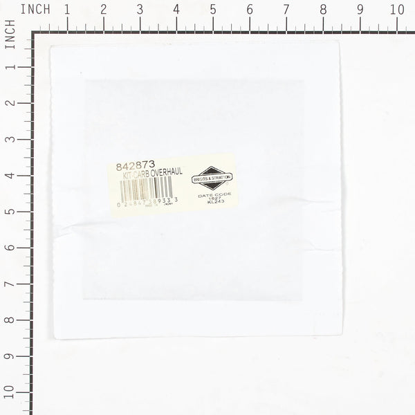 Briggs & Stratton 842873 Carburetor Overhaul Kit