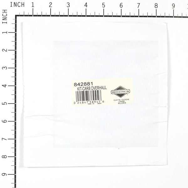 Briggs & Stratton 842881 Carburetor Overhaul Kit