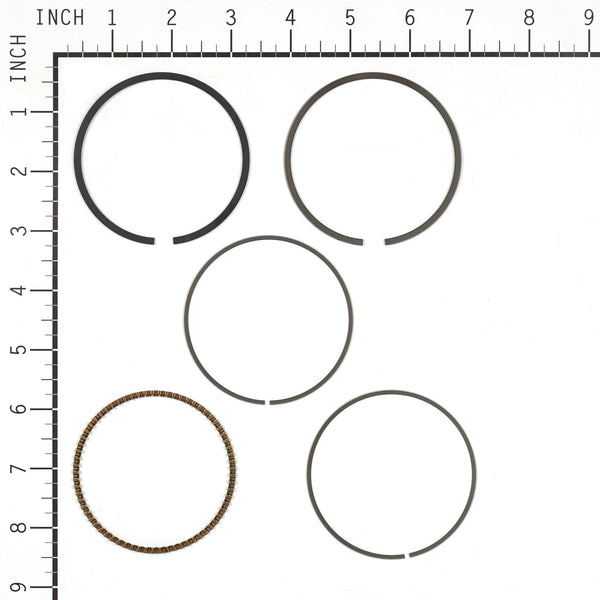 Briggs & Stratton 843793 Ring Set