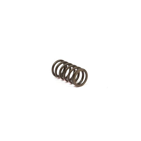 Briggs & Stratton 845589 Valve Spring