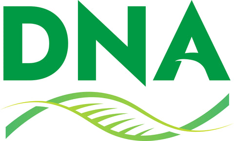 Daye 84005220 Kit, REAR BUMPER