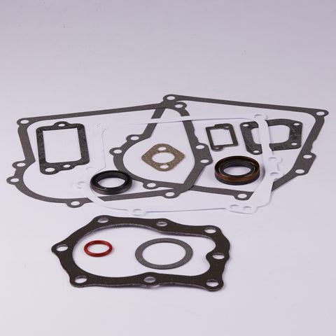 Briggs & Stratton 391662 Engine Gasket Set